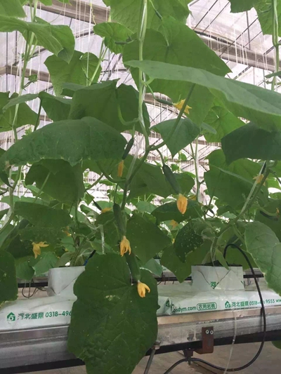 ʢ��Դ�r�I�r��