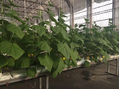 ʢ��Դ�r�I�r��