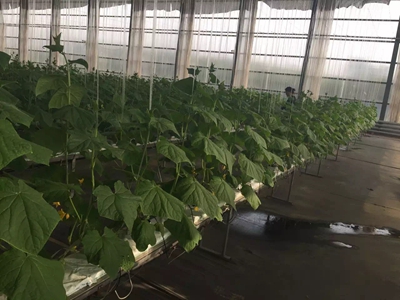 ʢ��Դ�r�I�r��