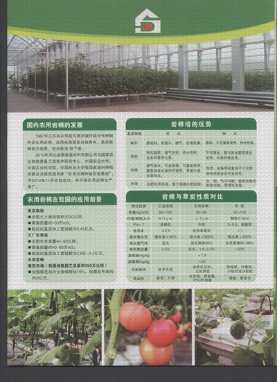 ʢ���r�Îr��