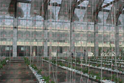 ʢ���r�Îr�ތ����،���