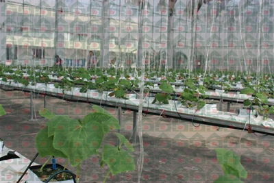 ʢ���r�Îr�ތ����،���