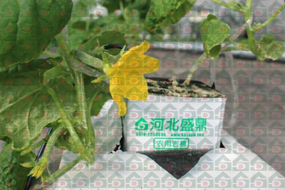 ʢ���r�Îr�ތ����،���