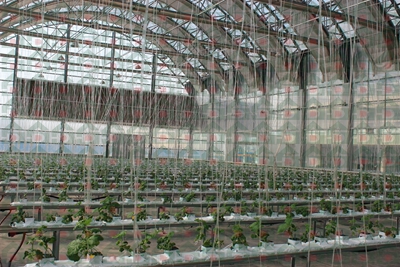 ʢ���r�Îr�ތ����،���