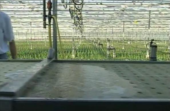 �r(n��ng)�Îr�ޑ�(y��ng)��