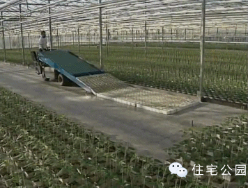 �r(n��ng)�Îr�ޑ�(y��ng)��