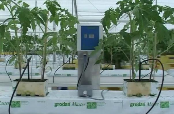 �r(n��ng)�Îr�ޑ�(y��ng)��