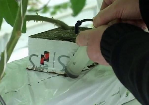 �r(n��ng)�Îr�ޑ�(y��ng)��