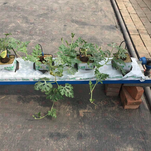 �r������N����