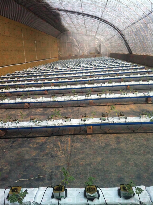 �r����������