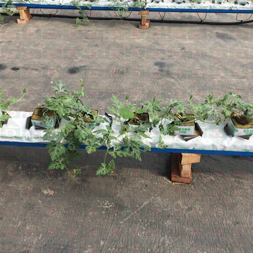 �r����������