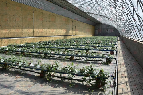 �r����������