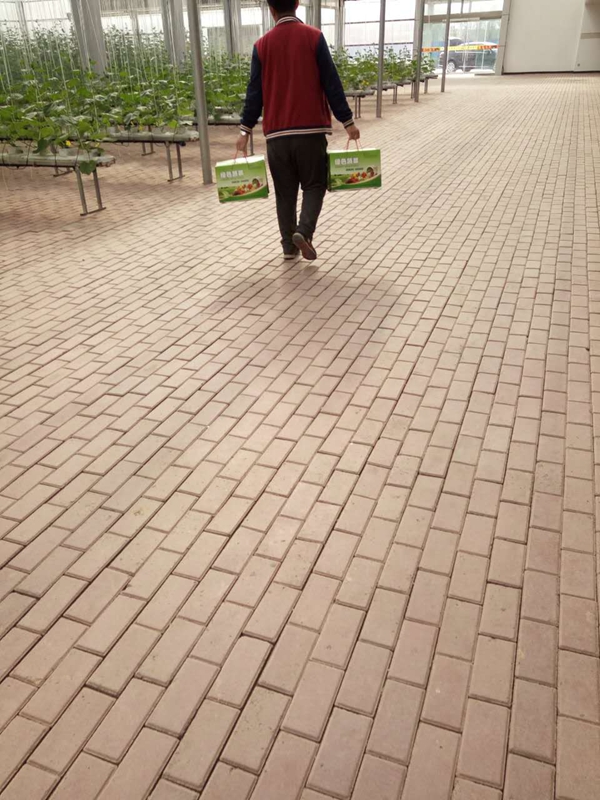 ʢ���r������