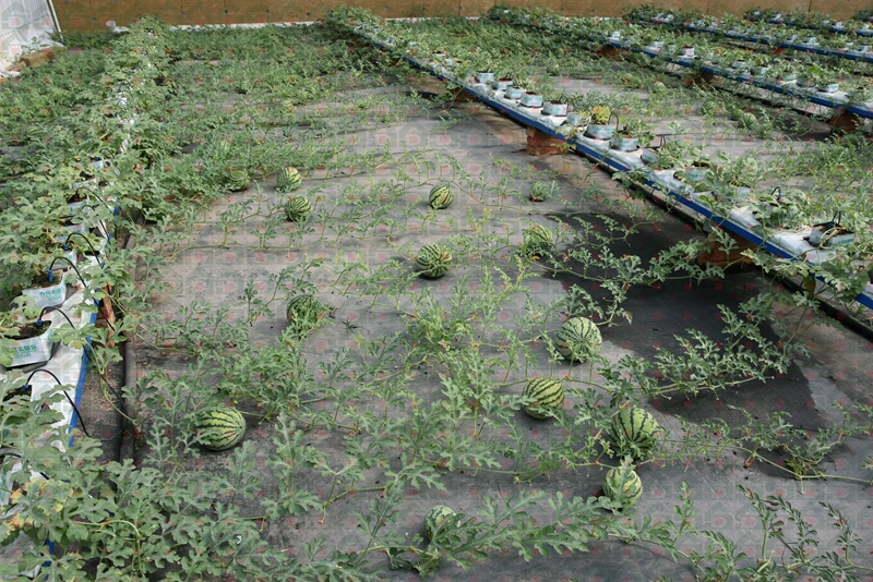 �r������