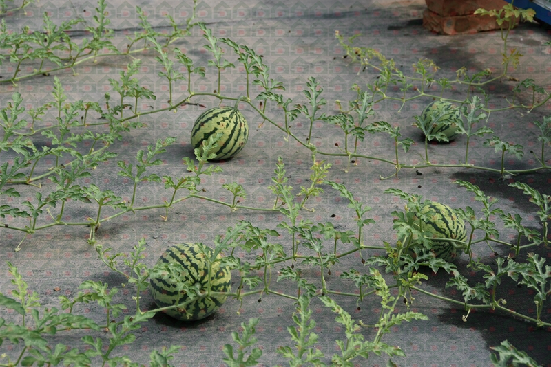 �r������