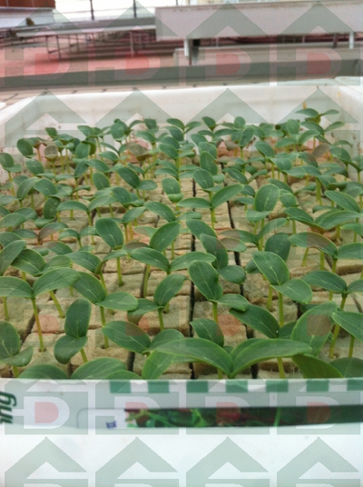 �r����������